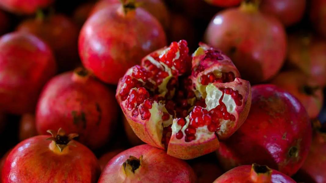 Narda Altı Kat Fayda 4